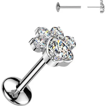 Piercing Šperky4U Piercing do brady tlapka - PUSH IN labreta TITAN - TIT1663
