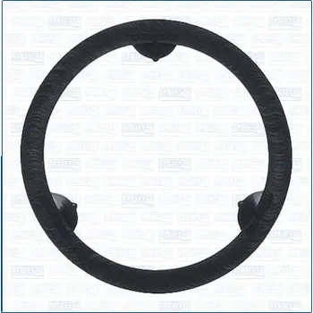 Chladič motoru Těsnění, vodní čerpadlo AJUSA 01476900