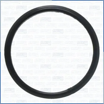 Chladič motoru Těsnění, vodní čerpadlo AJUSA 01489600