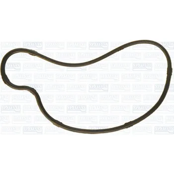 Chladič motoru Těsnění, vodní čerpadlo AJUSA 01291200