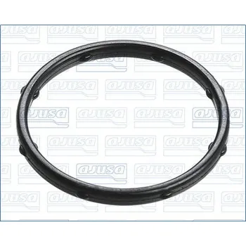 Chladič motoru Těsnění, vodní čerpadlo AJUSA 01506100