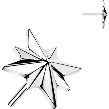 Piercing Šperky4U Ozdobná část k PUSH IN piercingu TITAN - TIT1670