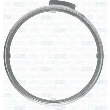 Váha vzduchu Tesneni, AGR ventil AJUSA 01447200