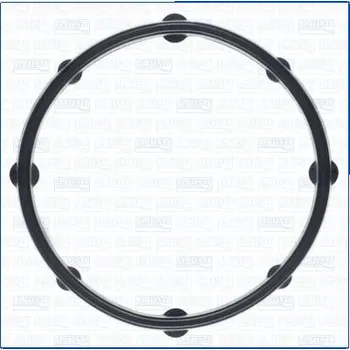 Chladič motoru Těsnění, vodní čerpadlo AJUSA 01462500