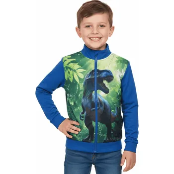 Chlapecká mikina ZATEPLENÁ DĚTSKÁ MIKINA S DINOSAUREM Barva: Modrá, Velikost: 98