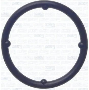 Chladič motoru Těsnění, vodní čerpadlo AJUSA 01474800