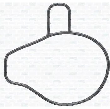 Chladič motoru Těsnění, vodní čerpadlo AJUSA 01476600