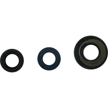 Centauro Gufera motoru sada APE 50 2T 80-98 880A701SR