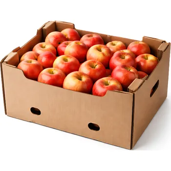 Sady Životice Jablka Gala 6kg