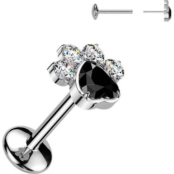 Piercing Šperky4U Piercing do brady tlapka - PUSH IN labreta TITAN - TIT1664