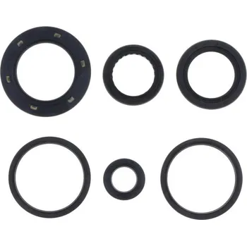 Centauro Gufera motoru sada Honda 250 666A245SR