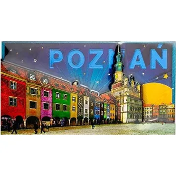 Dekorativní magnet Obdélníkové OZDOBNÉ MAGNETY Suvenýr Poznaň MAGNET na Lednici DEKORATIVNÍ