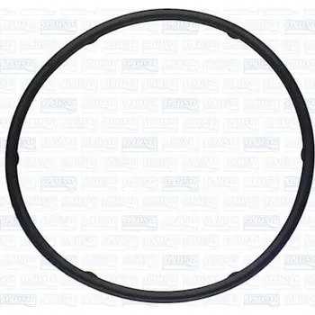 Palivové čerpadlo Těsnění, palivové čerpadlo AJUSA 01363000