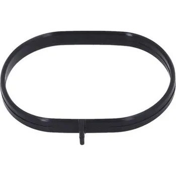 Těsnění motoru Těsnění, koleno sacího potrubí KAMOKA 8704078