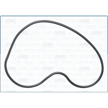 Chladič motoru Těsnění, vodní čerpadlo AJUSA 01531200