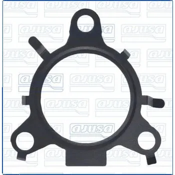 Váha vzduchu Těsnění, vedení AGR ventilu AJUSA 01581600