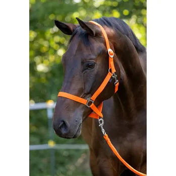 Ohlávka pro hříbě Hippo, oranžová, Foal, Covalliero, C.A-3230428