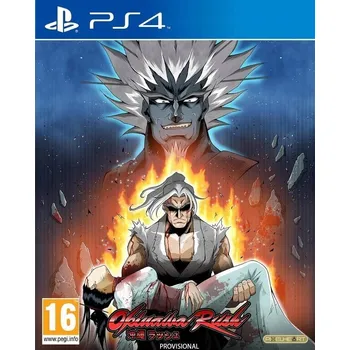 Hra pro PlayStation 4 Okinawa Rush PlayStation 4 (PS4) krabicová verze