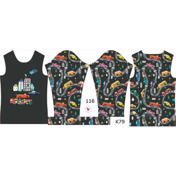 Panel na dětské funkční tričko s dlouhým rukávem 116 barevná auta