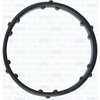 Chladič motoru Těsnění, potrubí chladiva AJUSA 01317600