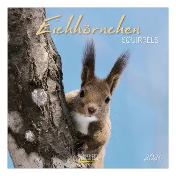 Kalendář Eichhörnchen 2026 (Kalendář)