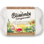 Blossombs Semínkové bomby - Dárkový box na vajíčka (6 ks) - originální a praktický dárek