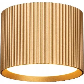 Stropní svítidlo stropní svítidlo bodové trubicové svítidlo GISE zlaté rýhované s vyměnitelnou LED žárovkou