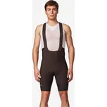 VAN RYSEL Pánské kraťasy na silniční cyklistiku Endurance 2XL KAŠTANOVÁ