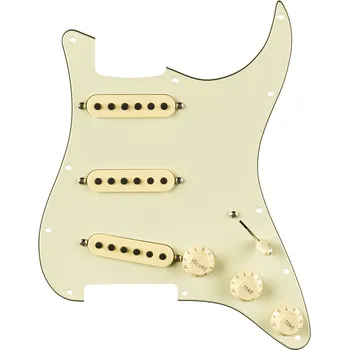 Strunný nástroj Fender Pre-Wired Strat Pickguard, Eric Johnson Signature, Mint Green 1 + prodloužená záruka 3 roky
