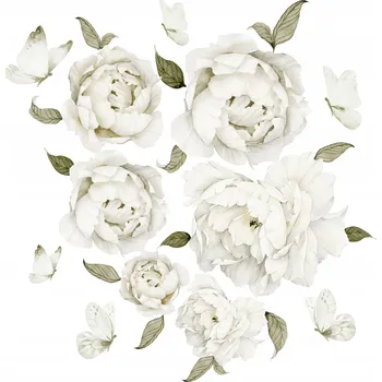 Obraz Nálepky na zeď Květiny Pivoňky Bílé 50x50cm