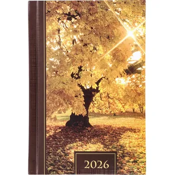 Kalendář Knižní kalendář 2026 B6 Artsezon vícebarevný