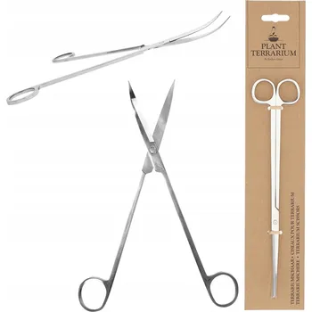 Obraz Les ve sklenici příslušenství 25 cm