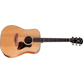 Strunný nástroj Taylor Gold Label 510e + prodloužená záruka 3 roky