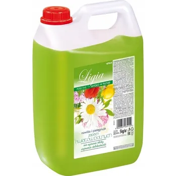 Mýdlo Ligia Tekuté mýdlo s vůní lučních květů 5 l