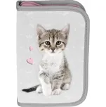 Paso Penál s kočkami a školními potřebami pro studenta z Pasa [PP23KC-P001]