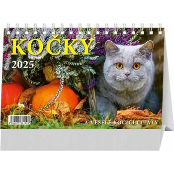Kalendář Kalendář 2025 Kočky stolní, stolní, 23... neuveden