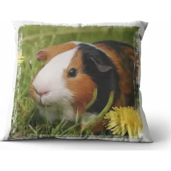 Polštář Polštář Morče 29 x 29 cm