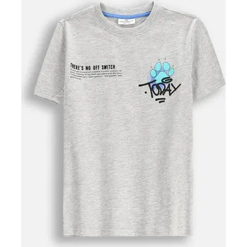 Chlapecké tričko Chlapecké tričko s krátkým rukávem, velikost 122 Coccodrillo WC5