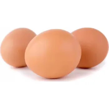 Podkladková vejce pro slepice, 25 ks velká umělá vejce pro chov