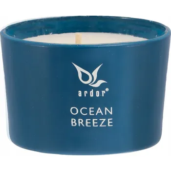 Ventilátor topení a klimatizace Febi Bilstein 177674 Ventilátor topení (vnitřní)