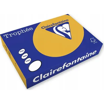 Kancelářský papír Kancelářský papír Trophee formát A4 80g 500 listů
