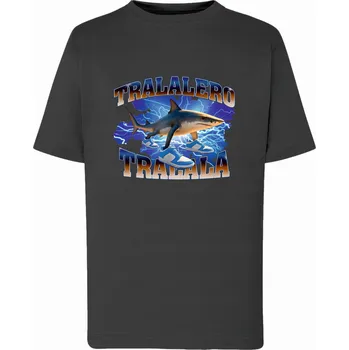 Chlapecké tričko Chlapecké tričko Rekino tralalero grafitové Tup Tup, vel. 134/140