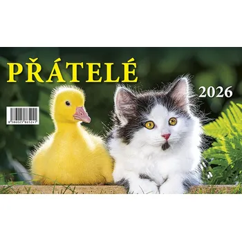 Kalendář SPEKTRUM GRAFIK Stolní kalendář 23 x 14 cm Přátelé 2026