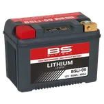 BS Battery BSLI-09 12V 5Ah