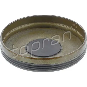 Motor automobilu Uzavírací kryt, vačková hřídel TOPRAN 410 424