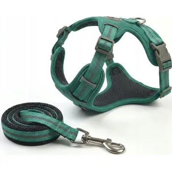Postroj pro psa Sada postroje pro domácí mazlíčky + vodítko (zelená) L