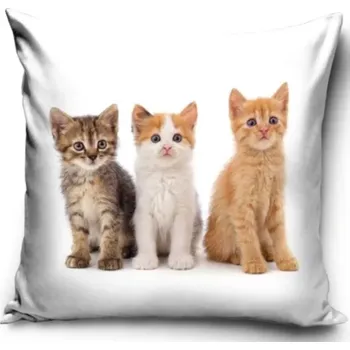 Povlak na polštářek Carbotex Povlak na polštářek Kočičí Mňau Tým 40 x 40 cm