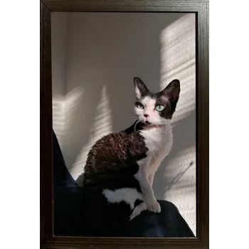 Obraz Rámeček na jednu fotografii Marek i Darek 23 x 15 cm