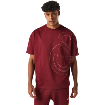 Triko Puma Galatasaray Istanbul T-Shirt e251058-100 Velikost XXL