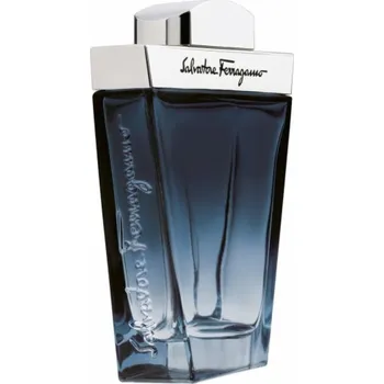 Pánský parfém Salvatore Ferragamo Subtil Pour Homme toaletní voda ve spreji 30ml
